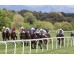 Carrera: P.Andrés Covarrubias Monta: V.Janacek Caballo: Tacarib Bay
